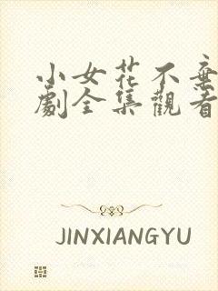 小女花不弃电视剧全集观看免费