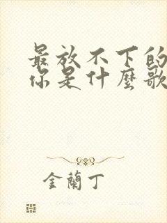 最放不下的也是你是什么歌