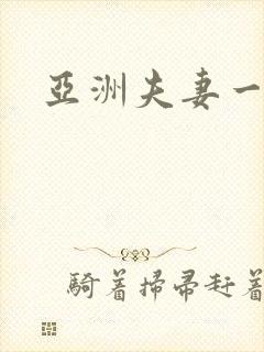 亚洲夫妻一级片