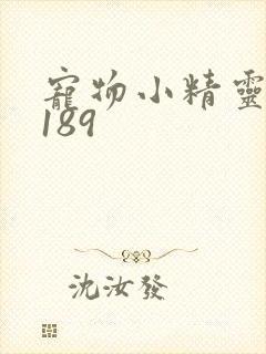 宠物小精灵dp189