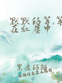 默默的等,等你在红尘中