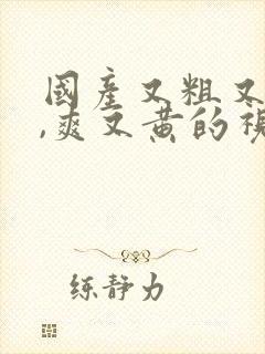 国产又粗又猛又,爽又黄的视频免费