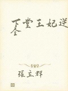下堂王妃逆袭记全