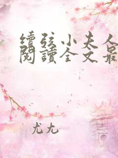 续弦小夫人免费阅读全文最新