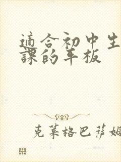 适合初中生上网课的平板