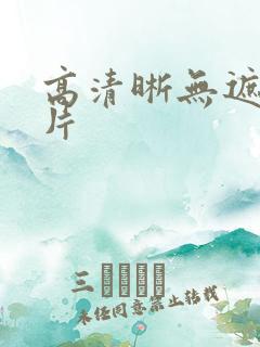 高清晰无遮挡毛片