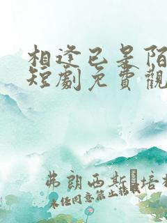 相逢已是陌路人短剧免费观看