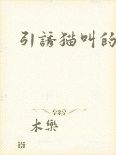 引诱猫叫的声音