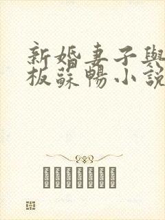 新婚妻子与菜老板苏畅小说