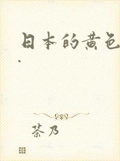 日本的黄色录像.