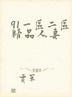 91一区二区三精品人妻