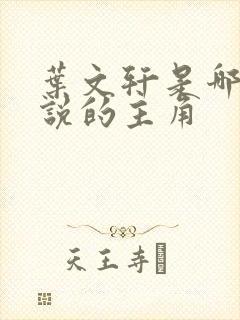 叶文轩是哪本小说的主角