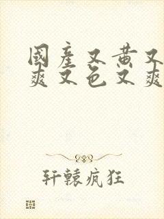 国产又黄又猛又爽又色又爽