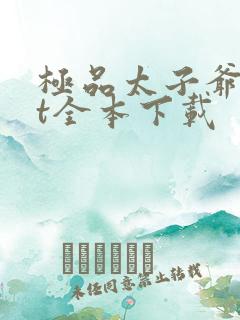 极品太子爷txt全本下载