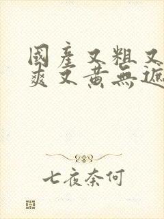 国产又粗又猛又爽又黄无遮拦