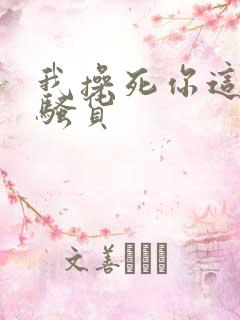 我操死你这个小骚货