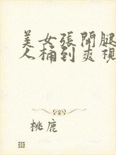 美女张开腿让男人桶到爽视频