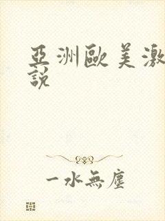 亚洲欧美激情小说