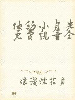 他的小月光短剧免费观看全集