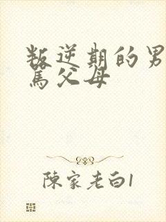 叛逆期的男孩子骂父母