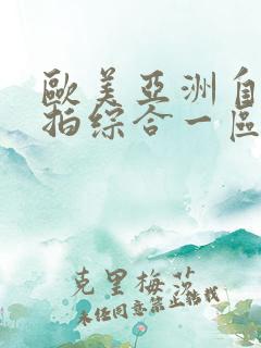 欧美亚洲自拍偷拍综合一区