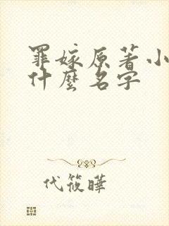 罪嫁原著小说叫什么名字