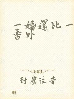 一婚还比一婚高番外
