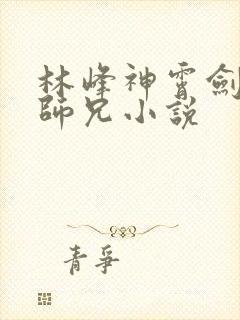 林峰神霄剑宗大师兄小说