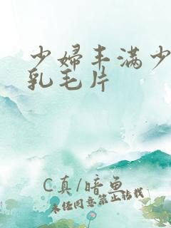 少妇丰满少妇大乳毛片