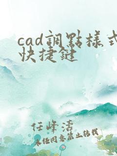 cad调点样式快捷键