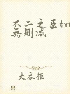 不二之臣txt无删减