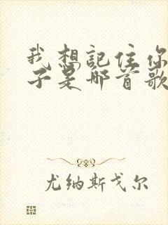 我想记住你的样子是哪首歌的歌词