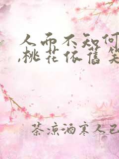 人面不知何处去,桃花依旧笑春风是什么意思