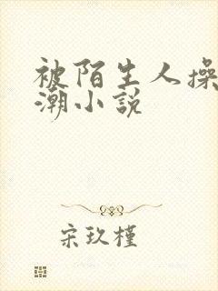 被陌生人操到高潮小说