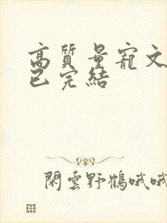 高质量宠文甜文已完结