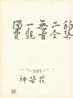 独一无二的他免费观看全集