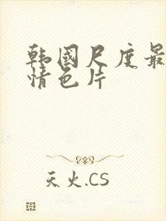 韩国尺度最大的情色片