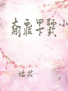 大龟甲师小说未删版下载