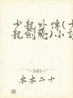 少龙外传(少年龙剑飞)小说全文