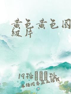 黄色黄色国产一级片