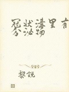 冠状沟里有黄色分泌物