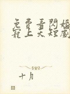 免费看闪婚总裁宠上天短剧