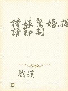 错嫁惊婚,总裁请节制