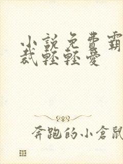 小说免费霸道总裁轻轻爱