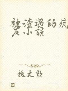 被渣过的疯批男友小说