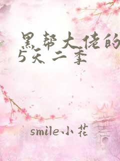 黑帮大佬的365天二季