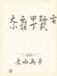 大龟甲师电子版小说下载