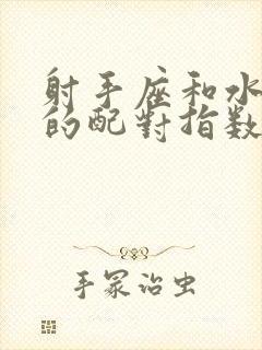 射手座和水瓶座的配对指数是多少