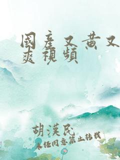 国产又黄又粗又爽视频