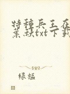 特种兵王在山村叶秋txt下载
